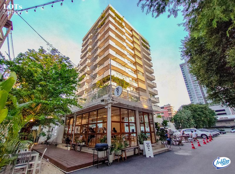 คาเฟ่ Pet-Friendly