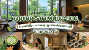 คาเฟ่มัทฉะ