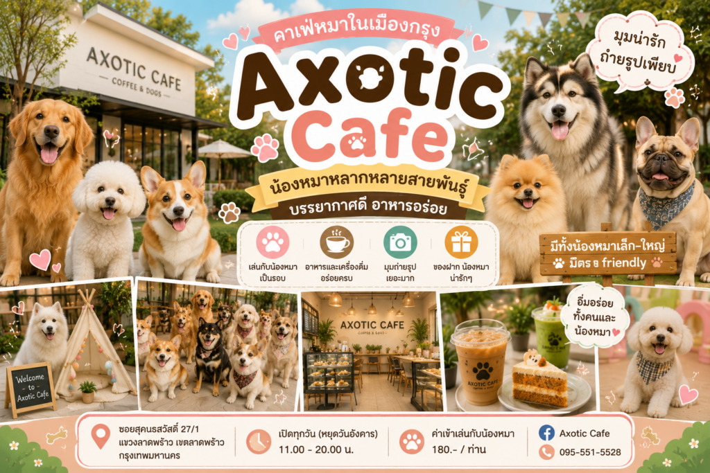 คาเฟ่หมาในเมืองกรุง