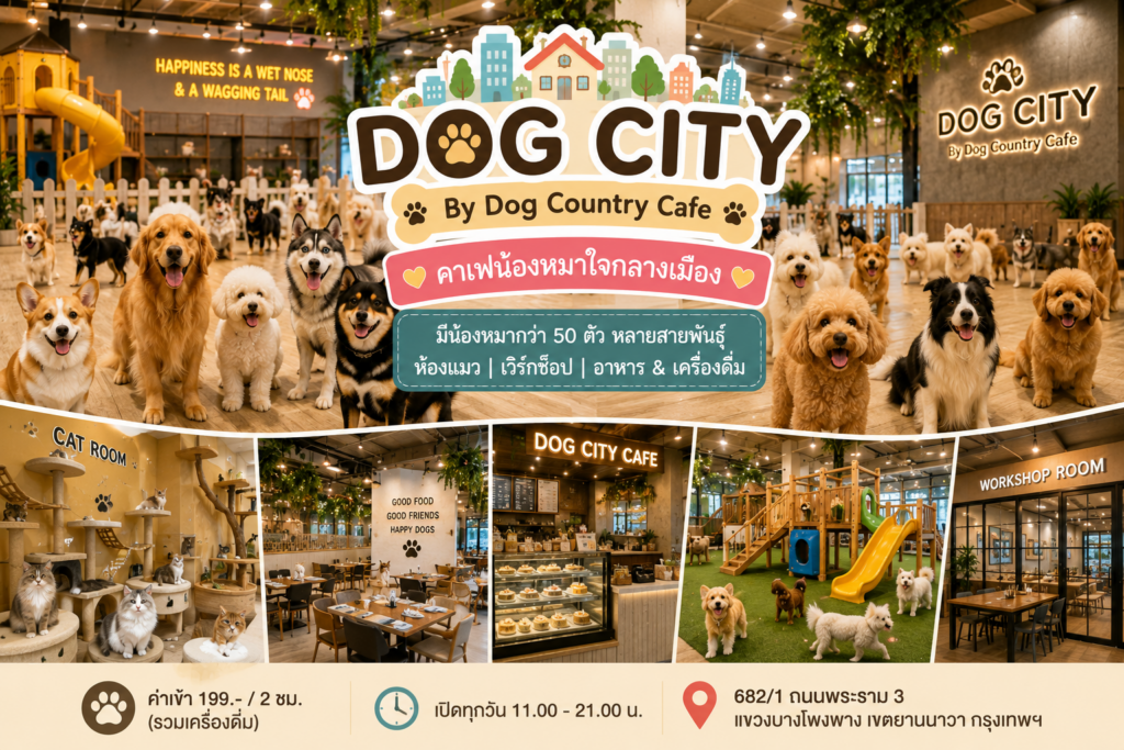 คาเฟ่หมาในเมืองกรุง