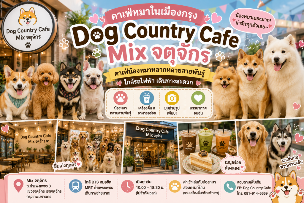 คาเฟ่หมาในเมืองกรุง