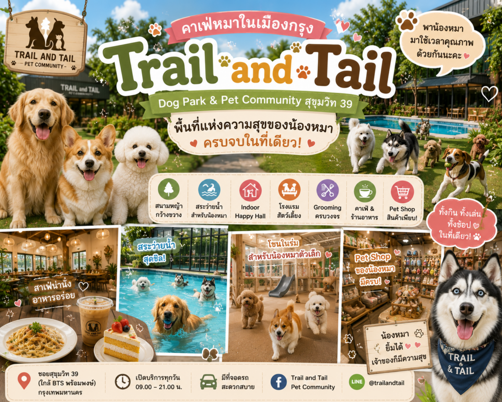 คาเฟ่หมาในเมืองกรุง