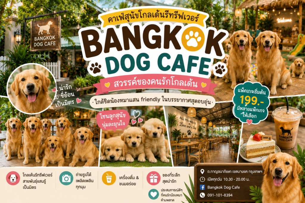คาเฟ่หมาในเมืองกรุง
