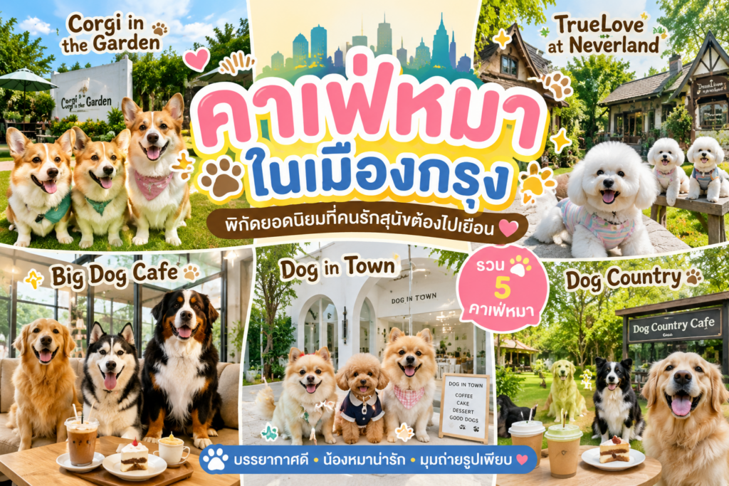 คาเฟ่หมาในเมืองกรุง