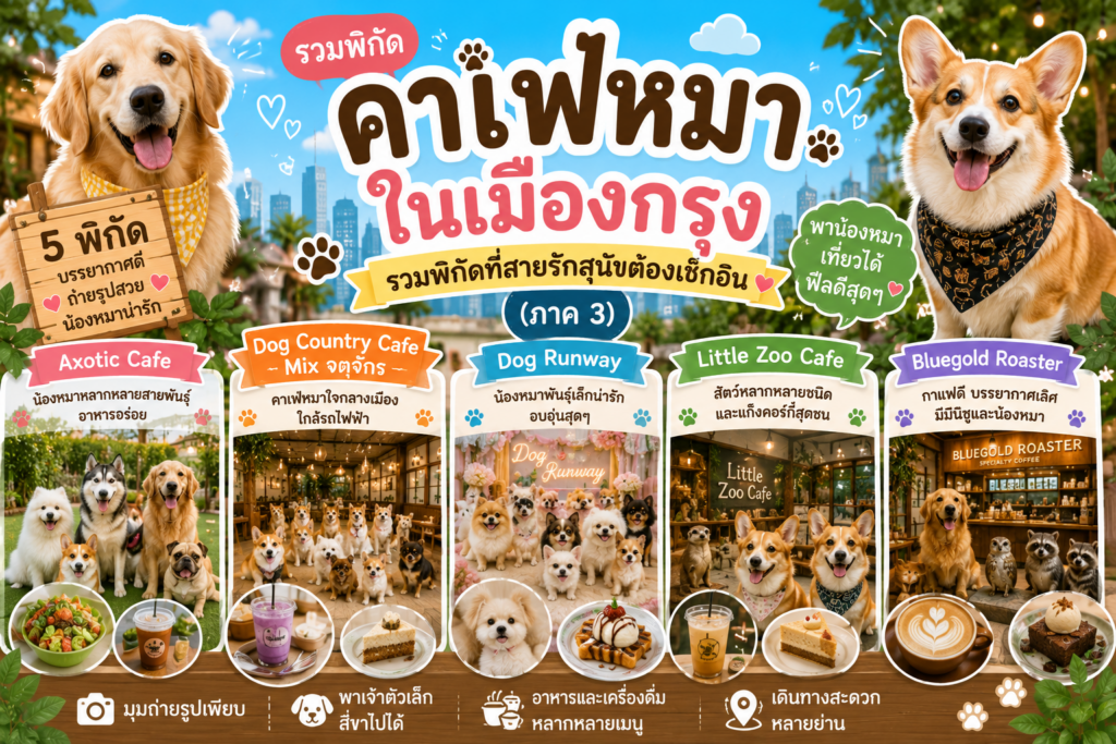 คาเฟ่หมาในเมืองกรุง