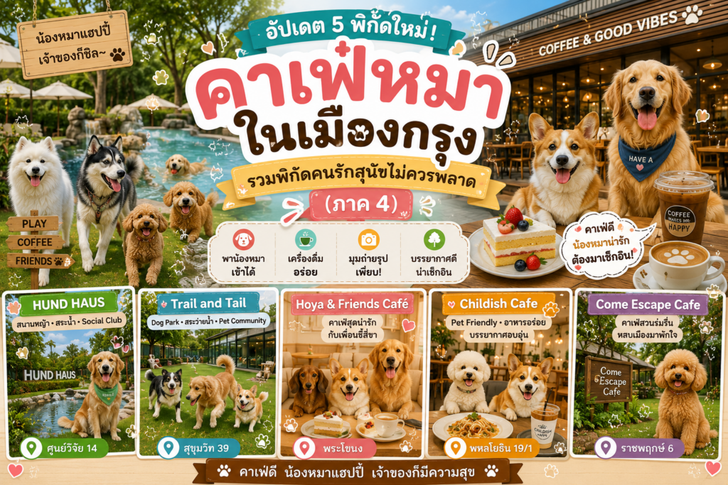 คาเฟ่หมาในเมืองกรุง4