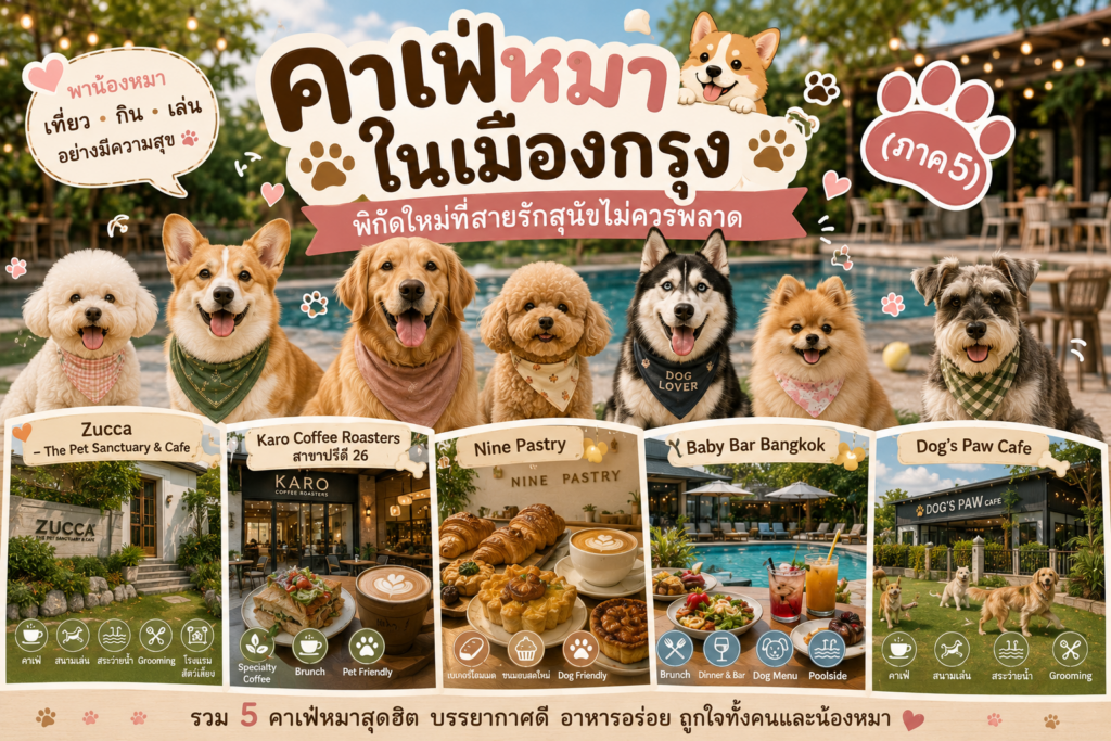 คาเฟ่หมาในเมืองกรุง
